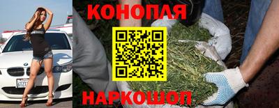 амф Аша