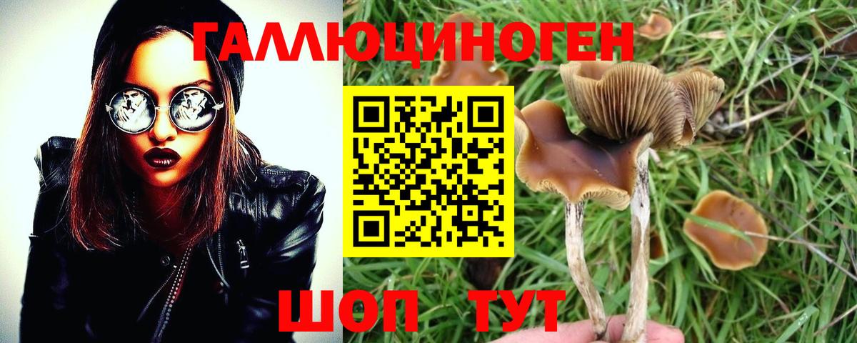 Галлюциногенные грибы Magic Shrooms  Псилоцибиновые грибы мухоморы  Вход с VPN  Асбест 